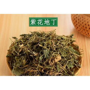 中药材 紫花地丁 中草药紫花地丁草 新鲜干货 500g克
