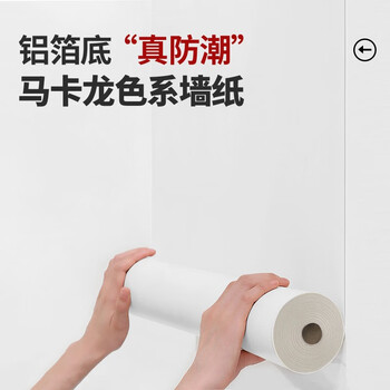 缔卡（DKtie）墙纸自粘防水防潮出租房宿舍家用自贴卧室客厅房间背景墙壁墙贴纸 【升级肤感】雪花白-背胶款 宽60厘米X25米长 共15m²