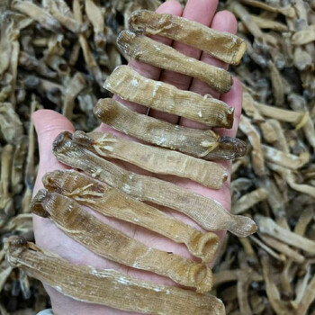 中沙虫干海肠沙肠子海人参海虫干货海鲜海产广东煲汤材料50g有仁堂