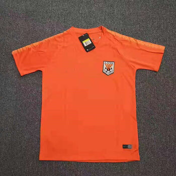 球衣中超山东鲁能泰山队球衣短袖比赛服橙足球训练服 19橙色训练服