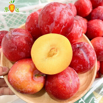 新鲜珠宝李智利孕妇水果酸甜现货大李子当季整箱9斤