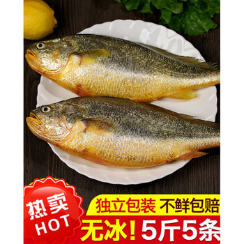 5斤5条新鲜大黄花鱼大黄鱼小黄鱼冷冻生鲜海鲜水产深海鱼鲞生整箱