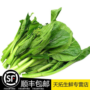 苏北农家霜冻上海青大青菜心菜苔蔬菜新鲜苏州青太湖黑油菜菜芯花1500