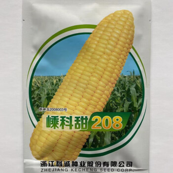 迪卡Q4199玉米种子简介图片
