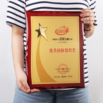 木托奖牌定制金箔银箔奖牌企业单位荣誉展示木质牌匾挂墙展示牌木头