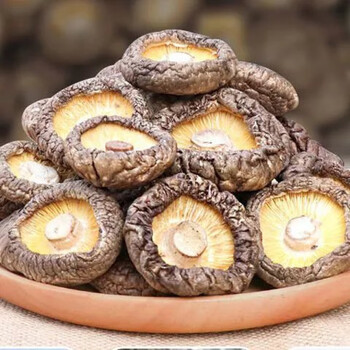 汀然干货小蘑菇干蘑菇特产级干香菇冬菇金钱菇无根优质香菇500g毛重