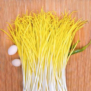 乡语小吖 山东蒜黄2斤 新鲜蔬菜当季鲜嫩黄嫩芽时令蒜黄生鲜