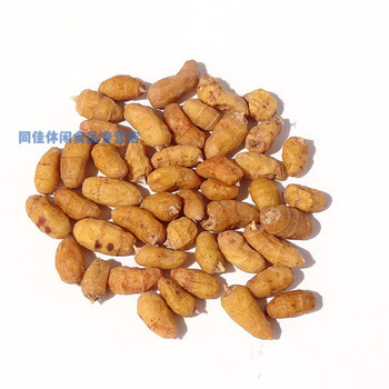 晨臻 油莎豆种精选带皮油莎豆油沙豆长形油豆种500克每份赠餸资料