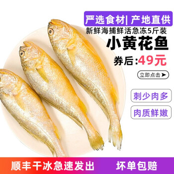 2023年度限量版豪华手表:价格历史和购买建议