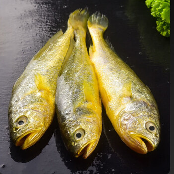 小花鱼鲜活冷冻鱼花鱼海鲜水产 4斤装 约8-10条/斤中号-小黄鱼