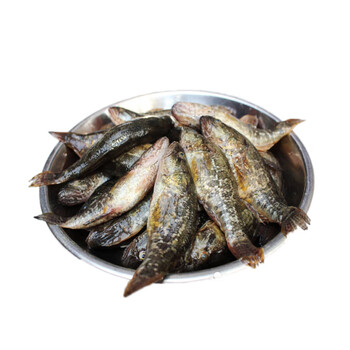 铭心旗舰店黑龙江特产淡水鱼大头鱼东北鲜活河鱼新鲜山胖头食用小杂鱼