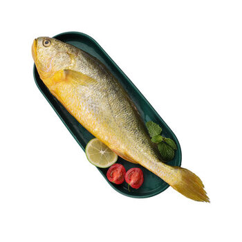 jd物流新鲜速冻黄花鱼大黄鱼生鲜鱼类海鲜水产团建送礼生鲜一条2斤