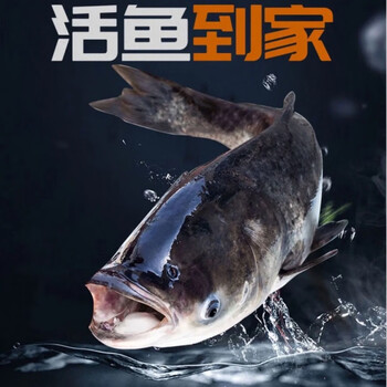 增值业务配 送 至--请选择--支持选择种类选择规格加入购物车本地活动