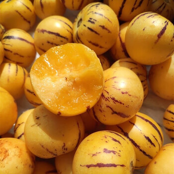 媚调云南石林树上熟人参果5斤大果圆果黄果当季新鲜水果人生果整 圆果