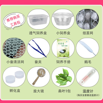 养蚕宝宝工具包一套