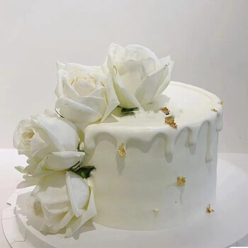 生日蛋糕 定制创意情人节蛋糕植物花卉星座等多品类网红许愿蛋糕 矮款