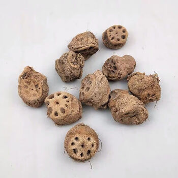 生藕节中药材干藕节老藕节莲藕根芦根500克 藕节芦根各500克