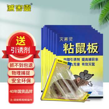 抢购独家分析!近期价格波动趋势揭秘