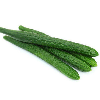 龙烜 长黄瓜 新鲜蔬菜 水果黄瓜小青瓜 1500g