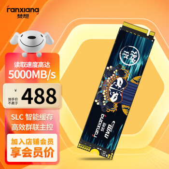 梵想（FANXIANG） 2TB SSD固态硬盘M.2接口NVMe协议（PCIe4.0*4） 台式机笔记本电脑S690MQ系列