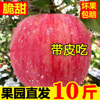 现摘脆甜高原红富士苹果当季应季新鲜水果10斤整箱冰糖心丑苹果 净重5斤(超值装
