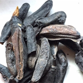 百日山  昆虫中药材 鼻涕虫 大蛞蝓 黄蛞蝓 野蛞蝓 双线粘液蛞蝓 250g