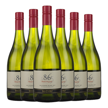 圣佩特罗酒庄1865红酒葡萄酒智利中央山谷产区vinasanpedro长相思6瓶
