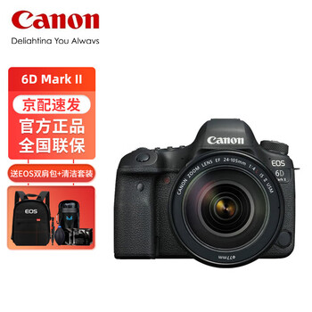 佳能（Canon）EOS 6D Mark II 6D2全画幅单反相机 L级24-105标准镜头套装 （含清洁套装）