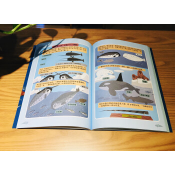 【樊登推荐】有趣的鲸豚：图解神秘的鲸豚世界（第2版）（全彩）