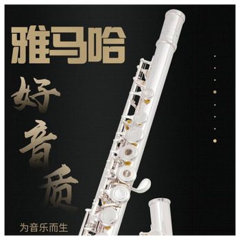 长笛什么品牌性价比高又实惠(长笛有什么牌子值得选购)