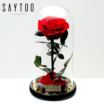 星韬玫瑰永生花小X子圣诞节礼物生日礼品送女朋友送老婆情人节礼盒 小X子红带灯