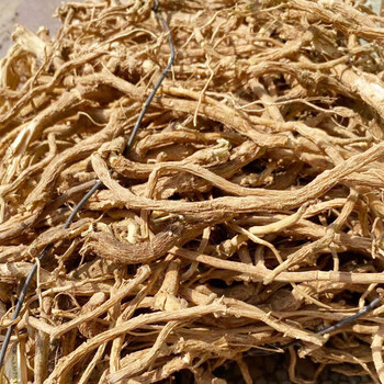 百日山  黄花倒水莲 中药材 倒吊黄根 黄花大远志观音串倒吊王 500g