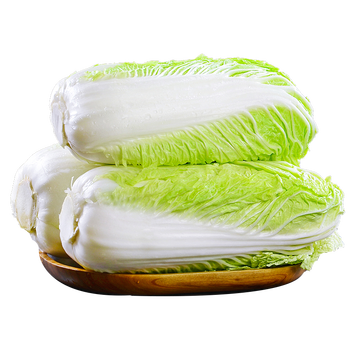 青樱红荔东北大白菜蔬菜菜黄心白菜鲜嫩小白菜冬季青菜现摘青菜整颗