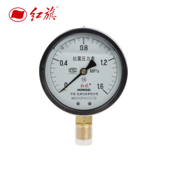 红旗 YTN100 耐震油压表 耐震弹簧管压力表 测压表 YTN100  0-0.1MPA