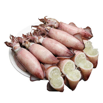 新鲜小海兔海兔子满籽笔管鱼带籽小海兔海鲜籽乌墨鱼乌贼锦祥橙无冰衣