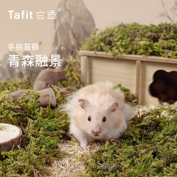 【它适】鼠类用品:高品质合理价格丰富种类