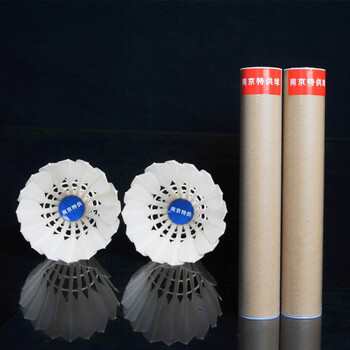 妙普乐南京特共品羽毛球全园球飞行稳定耐打12只装比赛训练球南京特共