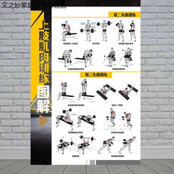 哑铃杠铃锻炼方法体操图解肩周炎康复墙贴健身房会所贴纸挂图海报