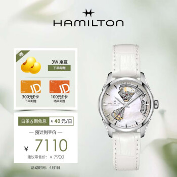 汉米尔顿（Hamilton）汉密尔顿瑞士手表爵士系列自动机械女表H32215890