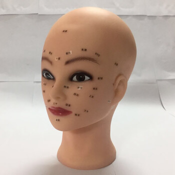 美容手法练习人头模型美容练习头模 脸部按摩人头模型模特头具美容院
