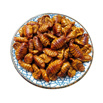 哺食旺5斤山东农家新鲜桑蚕蛹冷冻生蚕蛹非即食小蚕蛹茧蛹蝉蛹特产