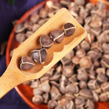 传统滋补>养生茶饮>辣木籽>醉俊>辣木籽正宗印度非