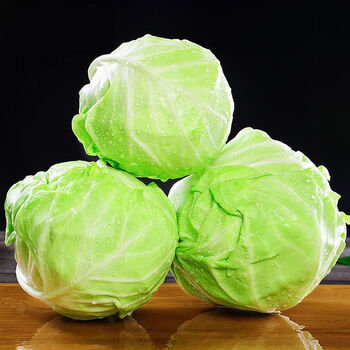 采缇包菜卷心菜圆白菜球甘蓝洋白菜牛心莲花包心菜蔬菜 9斤【精选装】