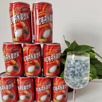 芬氏椰星红毛丹果味饮料240*12/24瓶 易拉罐22年新货水果椰果饮品 310