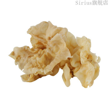 牧马安达【优选】兔耳菌 250g 多规格 林之源伏牛山羊耳菌兔耳菌白