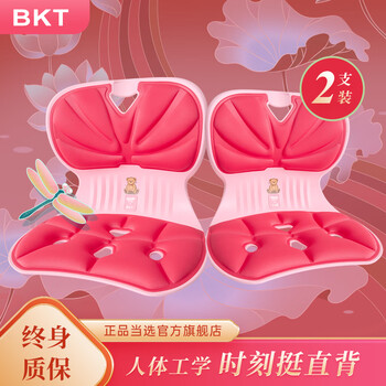 BKT 2件装护腰坐垫椅办公室久坐矫正坐姿垫不闷热老人小孩儿童通用 BKT坐垫 泰迪熊粉 60-160斤适用 BKT护腰坐垫