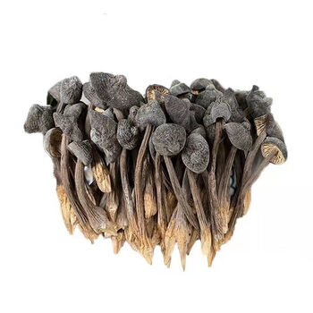 云南菌鸡枞菌干货特产黑皮新货菌菇食用菌批发煲汤 50g