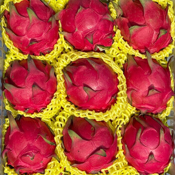 海南火龙果新鲜当季水果整箱金都一号红心大果红肉5斤礼盒装