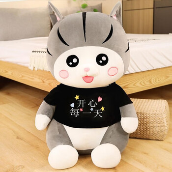 公仔娃娃可爱抱枕布偶猫女孩玩偶生日礼物女生圆眼猫开心每一天60厘米