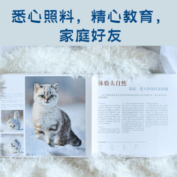 猫猫的幸福生活